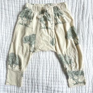 Kate Quinn tree pants